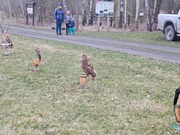 Noc sów w Moszczenicy - 2026, 