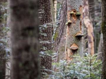 W oczekiwaniu na wiosnę rezerwat Czarna Rózga 2026, 