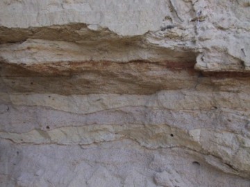 Skarpa w dolinie Mrożycy w Niesułkow ie