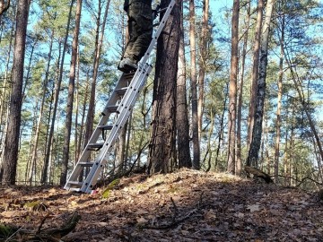 Czyszczenie budek lęgowych w naszych parkach, 