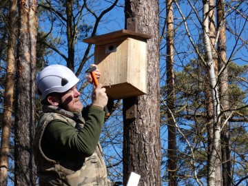 Czyszczenie budek lęgowych w naszych parkach, 